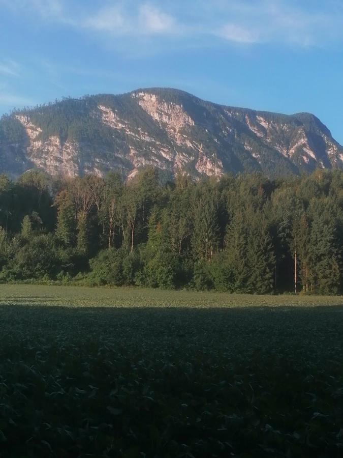 Appartment Resi Wohlfuehlen Und Relaxen Eberndorf Exteriér fotografie